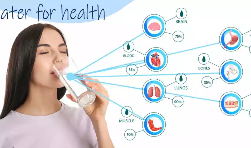 Benefits of Drinking Water